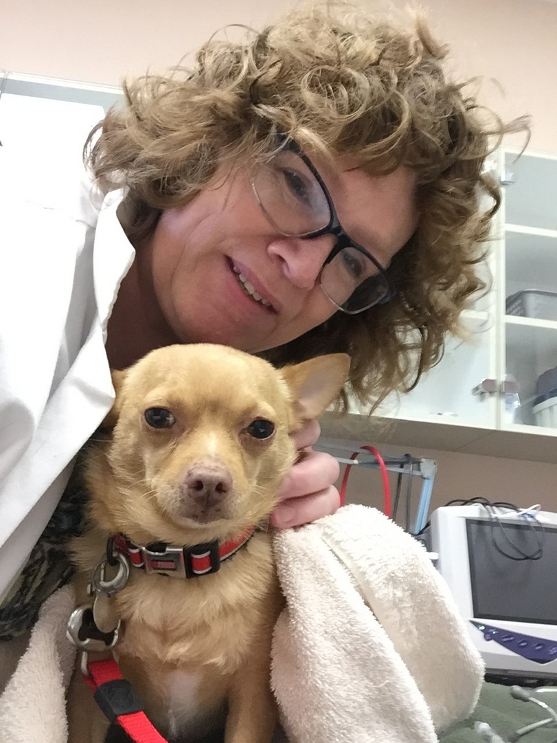 King's Ridge Veterinary Clinic: We Love What We Do!