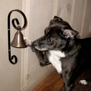 dog-housetraining-bell-wall-brass